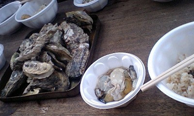 081223_1253~0001.jpg