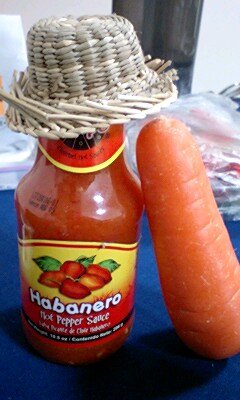 090118_1731~0001dip1.jpg