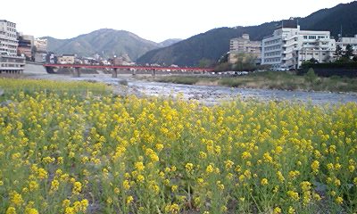 090418_1716~0001.jpg