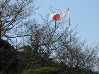IMG_2264.jpg